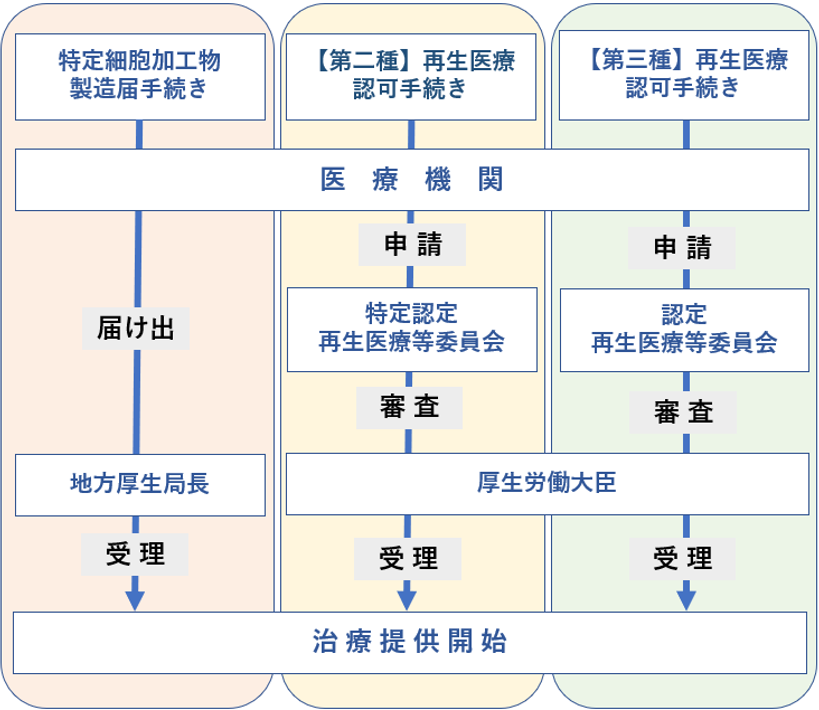 再生医療開始までの流れ